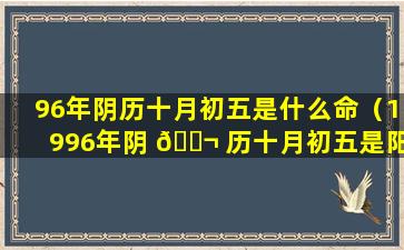 96年阴历十月初五是什么命（1996年阴 🐬 历十月初五是阳历多少）